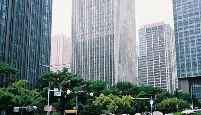 商务选型中为本地关注点的处理方向