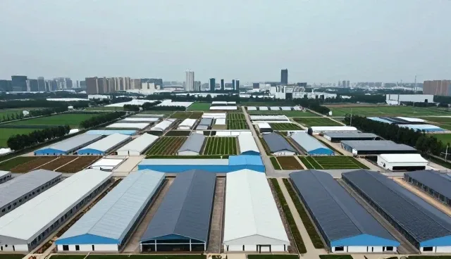 提升管理效能的实用方法与课程应用技巧
